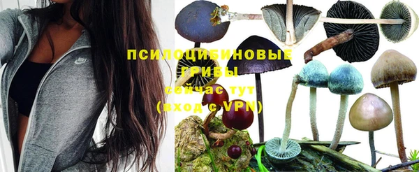 стафф Горняк