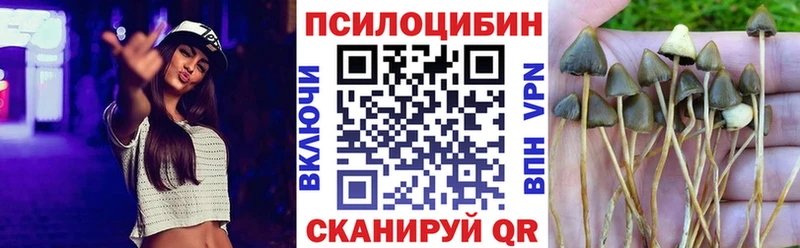 Псилоцибиновые грибы Psilocybe  Купить  Магадан 